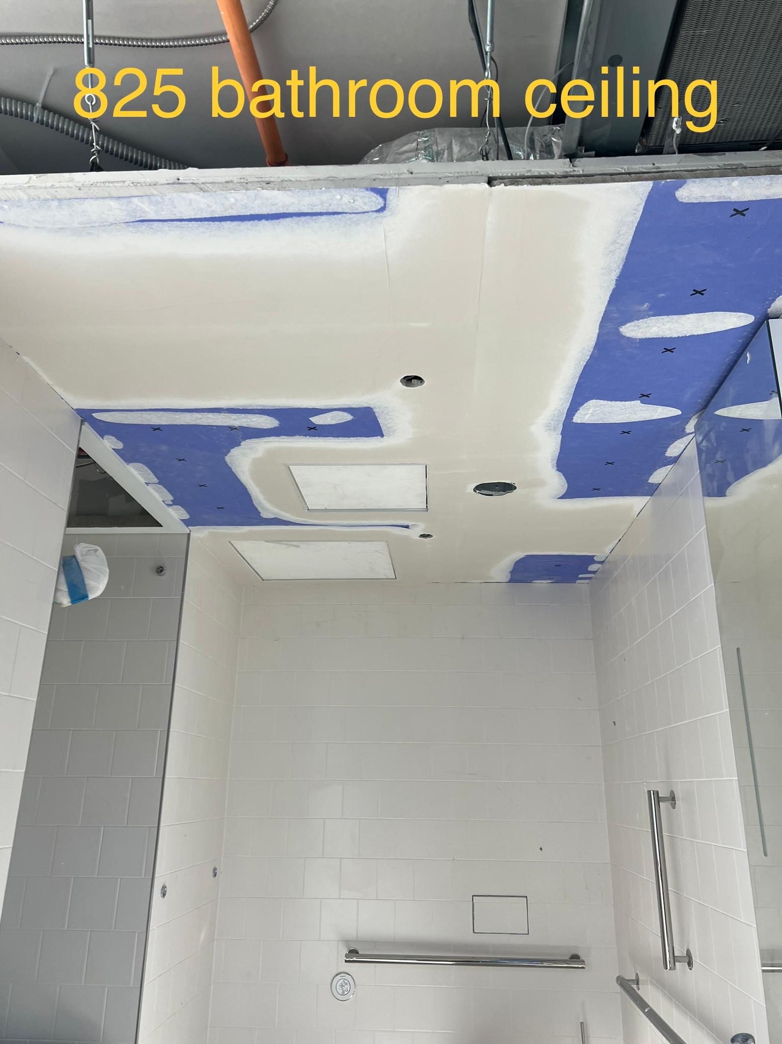 Bathroom Ceiling